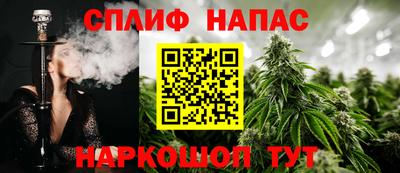 ешки Моздок