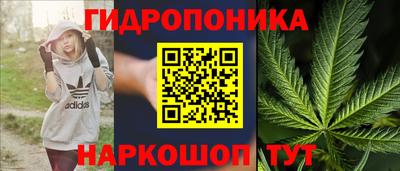 ешки Моздок