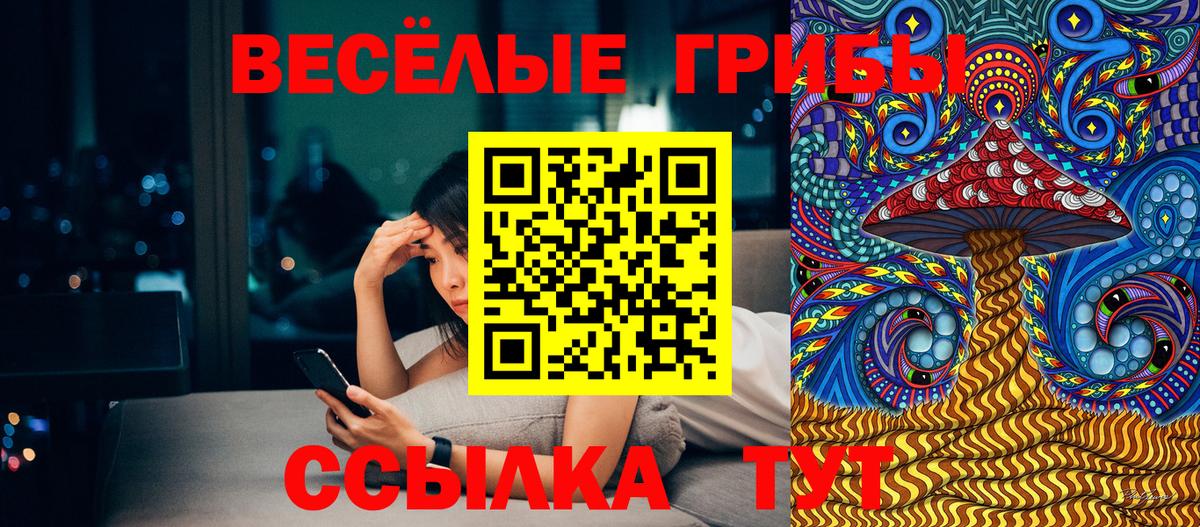 Псилоцибиновые грибы Psilocybe  Псилоцибиновые грибы MAGIC MUSHROOMS  Вход с VPN  Зеленокумск 