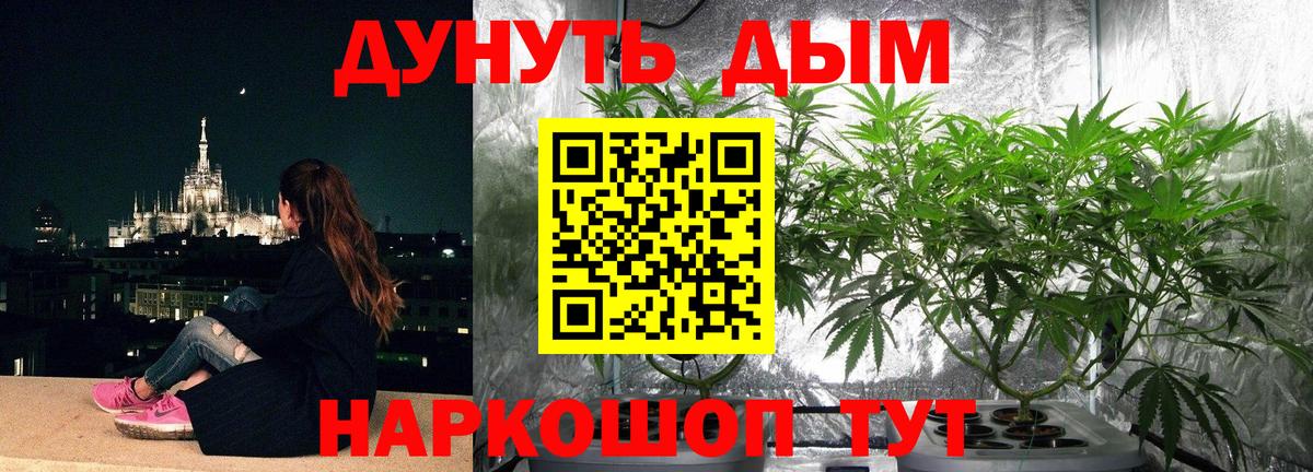 Канабис ГИДРОПОН  Бошки Шишки ГИДРОПОН  Марихуана планчик  Вход с VPN  Зеленокумск  МАРИХУАНА конопля 